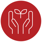 Design_Icon