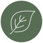 Vegetation_Icon